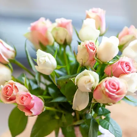 Apartamento Duene 17 - Traumblick Baabe